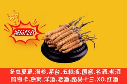 呼和浩特清水河县回收虫草多少钱每克